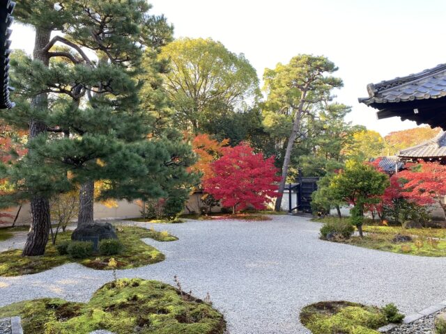 盧山寺　秋　庭園　写真　２