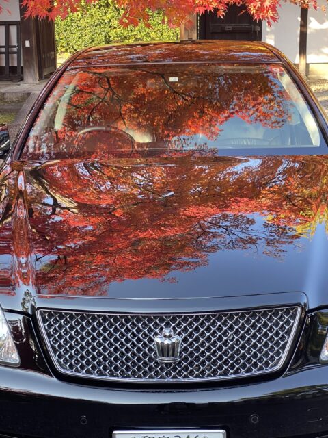 盧山寺　紅葉　クラウン