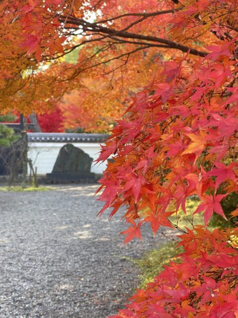 盧山寺　秋　紅葉　歌碑　写真　