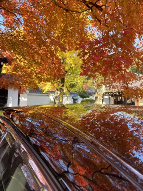 盧山寺　紅葉　トヨタ　クラウン　写真