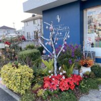 桐たんすの社長ブログ　クリスマスを前にケーキ屋さん綺麗にされています。