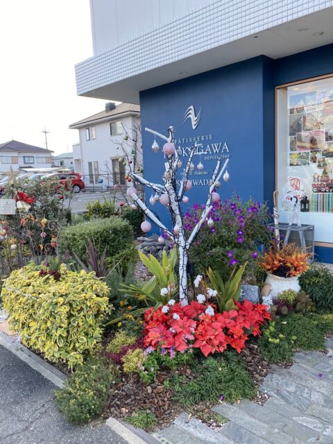 ヨコガワ　岸和田店　入口のガーデニング