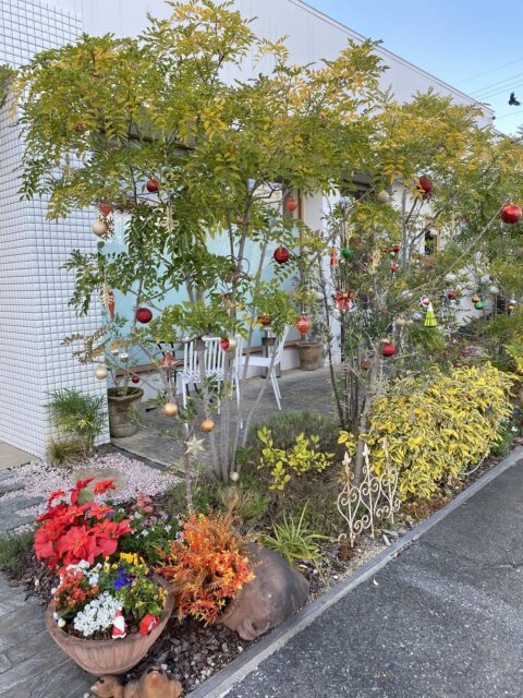 YOKOGAWA　岸和田店　入口のガーデニング　