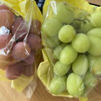 近くにお住まいの昔のお客様のF様から立派なぶどうをいただきました。