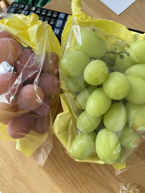 岸和田産　ぶどう