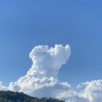 もううんざりするほど暑いですが、逆にこの夏を楽しみましょう！