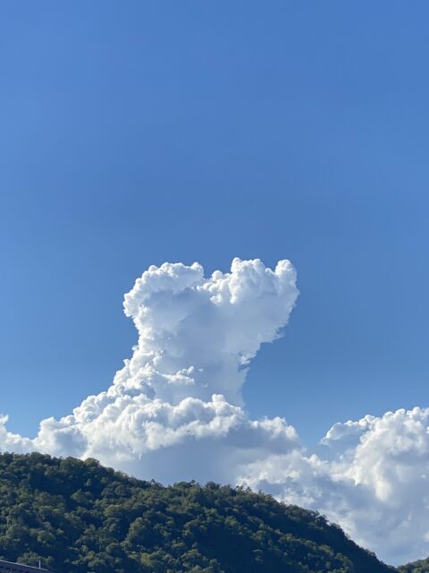 もううんざりするほど暑いですが、逆にこの夏を楽しみましょう！