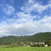 桐箪笥の社長ブログ めっきり秋の空になってきました。