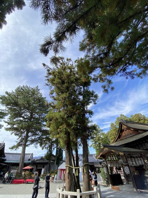 建部大社様 三本杉 建部大社様 三本杉