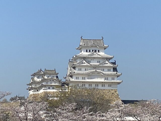 桐箪笥の社長ブログ 姫路城の入場料が1000円から2500円になります。
