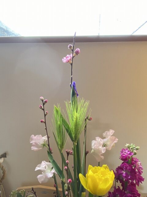 桃のお花が咲きました 桃のお花が咲きました