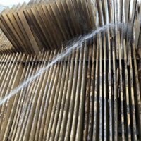 桐箪笥の社長ブログ　いい品質の桐を生かすには雨にあてて乾燥を繰りかえさないとなりません。