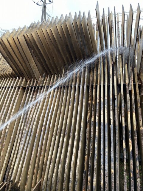 桐箪笥の社長ブログ いい品質の桐を生かすには雨にあてて乾燥を繰りかえさないとなりません。