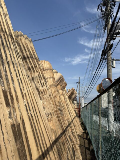 ダテがにぎやかになりました。