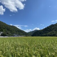 桐たんすの社長ブログ　自然の美しさと人の営みに癒されます。