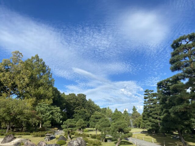 桐箪笥の社長ブログ 秋の景色は心いやされます。